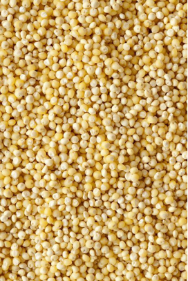 Millet grains