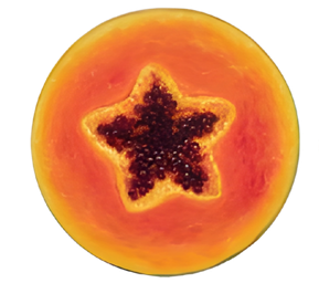 A halved papaya