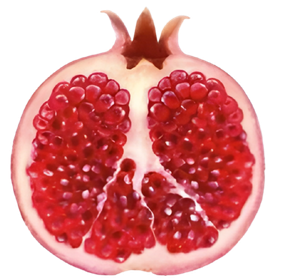 A halved pomegranate
